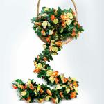 DULI Artificial Orange & Champagne Rose Creepers Vines Garland for Home Decoration 8 Feet )Pack of 2)