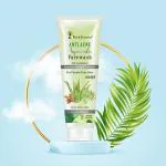 FOUR SEASONS ANTI ACNE AYURVEDIC FACE WASH_100ml.