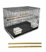 Jainsons 24 Inch Bird Cage Best for Lovebird, Parrot, Parakeet, Budgie, Cockatiel Large Bird Cage (Size:23.5
