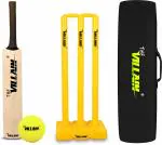 THE VILLAIN Poplar Willow Cricket Bat (Size-5) Wooden Bat, Ball, Wicket & Cover | Pack of 4 Cricket Kit