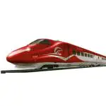 SHIVAARO Tiger Metro Bullet Train, 2 Engine Coaches, 1 Coach,2 Sign Posts, 2 Trees, Track Set, Track Locks and A Screw Driver, Multicolour