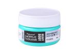Brustro Professional Artists Heavybody Acrylic Paint 50ml Aqua Green Light
