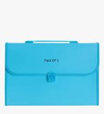 Shining Zon 13 Pockets Plastic Expanding File Folder Documents Large Size A4 Fs Letter Paper Holder with Carry Handle for School Office Home Collage Certificate Organizer (Pack of 1 Blue Colour)