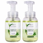 THE FOAM MAKERS -MOROCCAN GREEN TEA - FOAMING HAND WASH