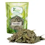 YUVIKA Neem Patta - Azadirachta Indica - Neem Leaves (100 Grams)