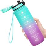 Virtuous Multicolor Water Purifier Bottle