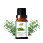 Farm Blends Rosemary Essential Oil | 10ml | for Thick & Strong Hair Growth | Clear Skin | Hair Fall Control | Aromatherapy | Farm To Home | 100% Pure, Natural & Undiluted | Rosmarinus officinalis