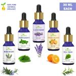 Homeda Essential Oils - Lavender, Tea Tree, Rosemary, Sweet Orange, Peppermint - 30ML each - Set of 5 for Hair Growth, Skin care, Diffuser essential oil for Home Fragrance