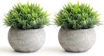 2 Pcs Fake Plants for Bathroom/Home Office Decor, Small Artificial Faux Greenery for House Decorations (Potted Plants)