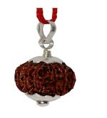 Feel Touch Mart 9 Mukhi A+ Rated & Natural Nepal Brown Rudraksha Beads by Lab Certified