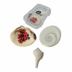 Vin Care Natural Original Small Size Lakshmi Valampuri Conch / Original Gomati Chakra (Size 3 cm) / Original Red Chirmi Seeds for Lakshmi pooja -21 pcs / Hard seashell for pooja (Size 0.5-1.5 Inch)