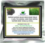Mgbn The Path For The Healthier Life With Beauty Super Napier Grass Seed High Yield, 3 Gm, 750 Seeds And Super Napier Seed Balls 2 Nos
