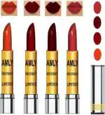 AMLY Long Stay & Soft Matte Lipstick Combo Set of 4 (Multicolor, 12.8 g)