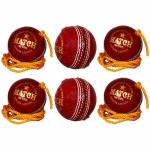 PSE Sports Leather Match Practice Hanging Cricket Ball Red Pack of 6
