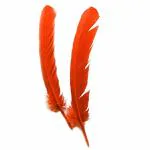 TIPTOP DECORATION Natural Dyed Orange Goose Quills (12 14 Inch) (Pack of 5)