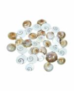 ZYANA Carving Sri Krishna Statue Murti Idol Paper Black Showpiece