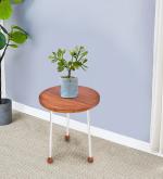 THE HOME CO. Modern Round Side Table for Living Room Bedroom Metal Frame Wooden Top Coffee Table End Table for Home Decor Fancy Home Office Table (Brown)