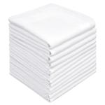 SHIVAAY Zenssia Men White Handkerchiefs