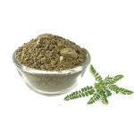 Sree Madhava Sai Organic Keelanelli/Bhumyamalaki/Phyllanthus Niruri Powder, 50 G (KIL-NELI-POW-024)