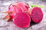Baishnab Dragon TreeDragen PlantRED DRAGON FRUIT PLANT-30