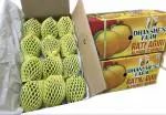 Dhanshe's Farm Ratnagiri Alphonso Mango Size A (12 Pieces) |Naturally Treated| Export Quality