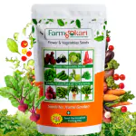 FARMGOKART Vegetable Seed Combo - 12 Varieties (4500 Seeds) WVEG-01