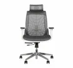 TRUST FURNITURE High Back Ergonomic Chair for Office & Home Glass with Nylon Back with Korean Mesh, Rhino Multi-Position Lock with Seat Slider