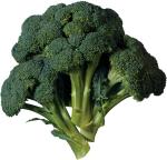 MOZETTE Broccoli Seed (11 per packet)
