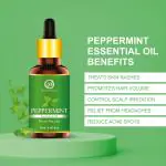 Nuerma Science Peppermint Essential Oil (For Aromatherapy, Skin & Hair) Hair Oil (15 ml)