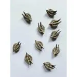 CooPany Garuda Mukku / Bat Head Roots / Telukondi Kaya Seeds (12 Seeds)