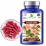 SOVATA: Azalea care Fertilizer Capsules (51 no's), Slow Release Organic Fertilizer (90 Days) for Overall Healthy Growth of Azalea Plants.