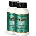 NATURE CODE Diabasoul Ayurvedic 60 - Tablets | Helps Control Blood Sugar| For Type 2 Diabetes | Natural Diabetes Care With Karela, Methi, Giloya, Jamun, Neem, Bhumi Amla, and Mulberry - Pack of 2