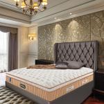 Springfit Reactive Gold Ortho Memory Foam Back Support Mattress Single Size 75 x 36 x 8 inch