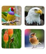 Whats Your Kick Birds Lover Falcon With Birds Printed Set of 4 Coaster With Metal Stand