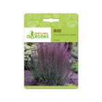 National Gardens Little Bluestem Ornamental Grass Seeds (10 Nos)