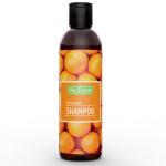 Re:fresh Watermelon Shampoo 200 ML | Paraben Free Watermelon Fruit Shampoo For Healthy Scalp, Suitable For All Hair Types