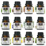 Charming Aura- Combo Pack of 12 Essential Oils (15ml each)- TeaTree, Lavender, Rosemary, Peppermint, Citronella - SkinCare, Haircare, Stress, Mosquito Rappellant, Aromatherapy