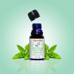 Sugandhim Patchouli Essential Oil, 1 x 10ml, Steam Distilled, Aromatherapy, 100% Pure, Natural & Undiluted, Organic, Therapeutic Grade Oil, Aroma Diffuser, Blend With Carrier Oil To Apply On Skin