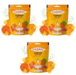 BHAKTI 2 SHAKTI MAKING WORSHIP SPECIAL Mangalam Pure Camphor Tablet for Puja - 100 gram zipper (Pack of 3) | Kapoor for Diffuser Kapoor Dani Havan and Pooja Karpoor tab Pouch
