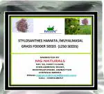 MGBN THE PATH FOR THE HEALTHIER LIFE WITH BEAUTY Stylosanthes Hamata, Muyalmasal Grass Fodder Seeds - 1250 Seeds