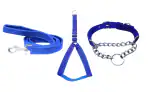 Hundur store Premium Quality Dog Combo Pack of Harness, Neck choke collar Belt and leash set in blue for large size
