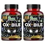Humming Herbs Ox Bile Extract 1100mg - Digestive Aid for Bloating Relief, Enhanced Fat Absorption, and Gallbladder Support - With Probiotics, Turmeric, Inulin - Pack of 2