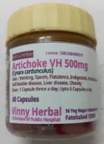 Artichoke DH Herbal Supplement Capsules 60 Caps Jar - DoctorKC Herbal