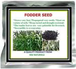 Mgbn The Path For The Healthier Life With Beauty Super Napier Grass Seed High Yield, 150 Gm, 36000 Seeds And Organic Fertilizer With Natural Growth Promotors, 50 Gm