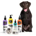 Wagging Tails Pets Grooming Kit Combo for Labrador | Dog Shampoo+Massage Oil+Dry Bath+Paw Butter+Paw Spray | Made with Natural Ingredients | Head to Paw Gift Box- 5 in 1