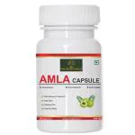 NOURISHWORLD Pure Herbs Rich in Antioxidants Amla Capsules for Health Booster Provides Protection Against Infections-500 mg-60 Capsule