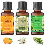 Nature Clouds Orange Jasmine Lemongrass Essential Oil, 10 Ml Each (Pack Of 3)