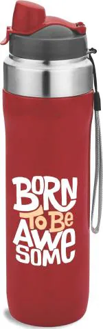 Basik Red Steel Bottle, 580 Ml