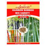 SENECIO Multicolor Rainbow Bamboo Outdoor Garden Seed - 20 Per Packet