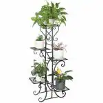 OKASHA Iron Plant Stand/Plant Stand for Balcony/Flower Pot Stand/Pot Stand for Outdoor Plants/Planter Stand/5 Pot Holder BLACK ( WITHOUT POTS & PLANTS )